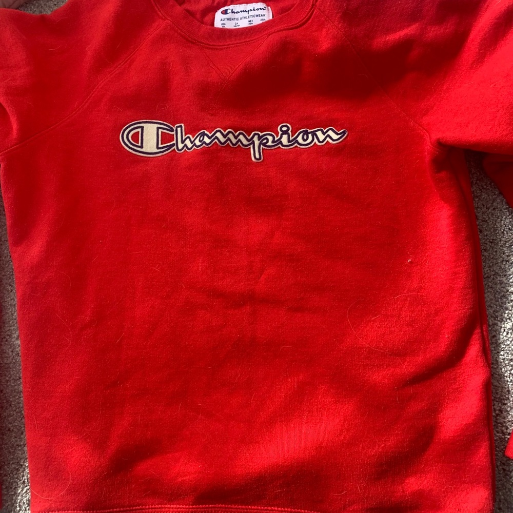 champion hoodie